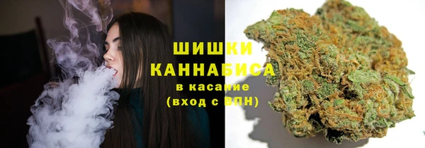 СК Медногорск