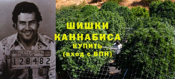 мет Мегион