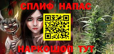 стафф Дубна