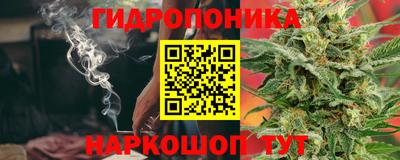 стафф Дубна
