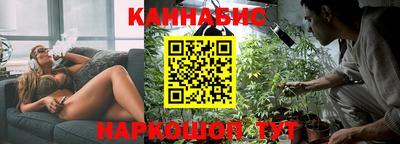 стафф Дубна