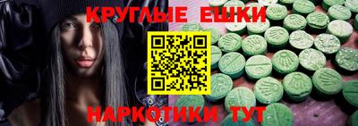 стафф Дубна