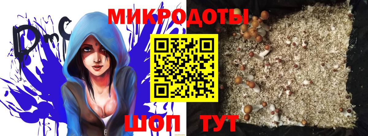 Псилоцибиновые грибы Psilocybe Темрюк