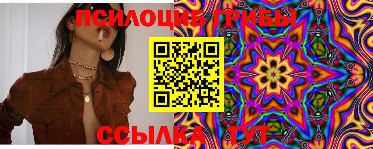 что такое наркотик  Темрюк  Галлюциногенные грибы Magic Shrooms 