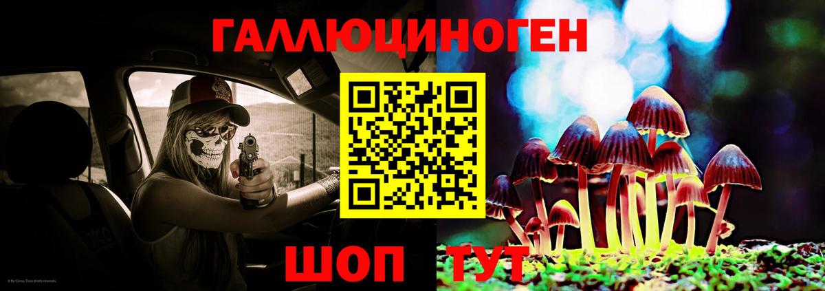 Псилоцибиновые грибы прущие грибы Темрюк