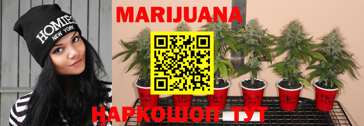 Каннабис план Темрюк
